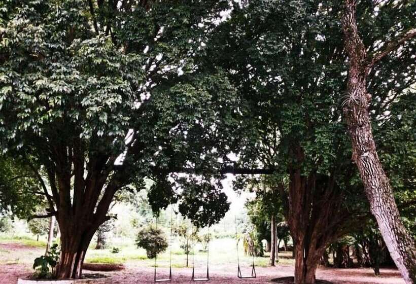 فندق Pousada Samambaia