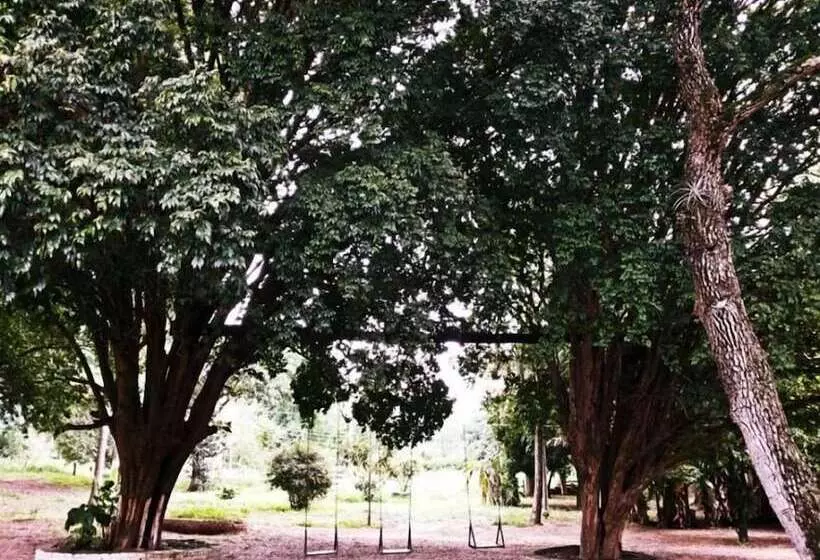 ホテル Pousada Samambaia