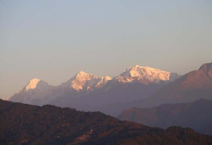 هتل Serene Resort