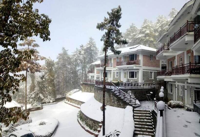 هتل Serene Resort