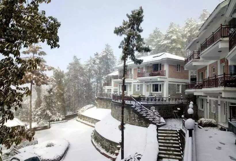 هتل Serene Resort