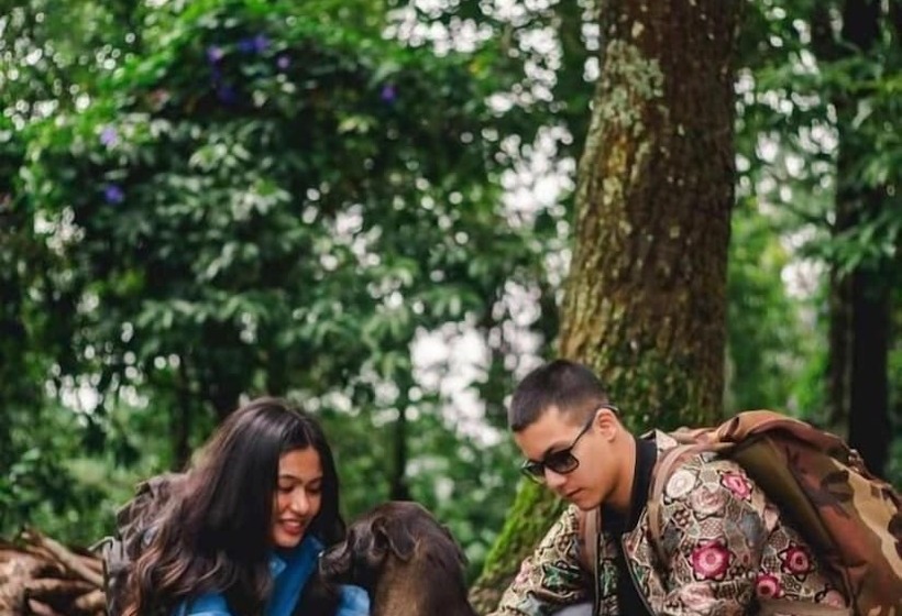 هتل Serene Resort