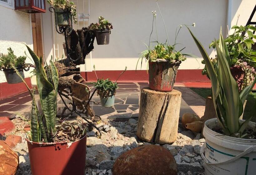 پانسیون Mpofu Guest House