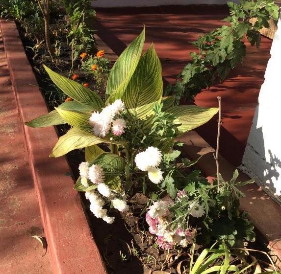 پانسیون Tabonina Guesthouse