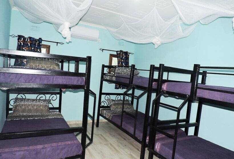 Café Zambezi House Of Africa Hostel