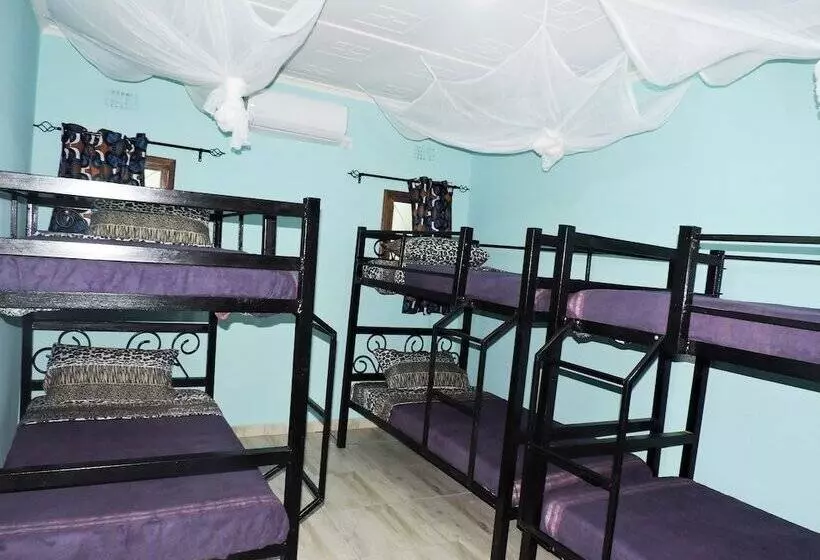 Café Zambezi House Of Africa   Hostel