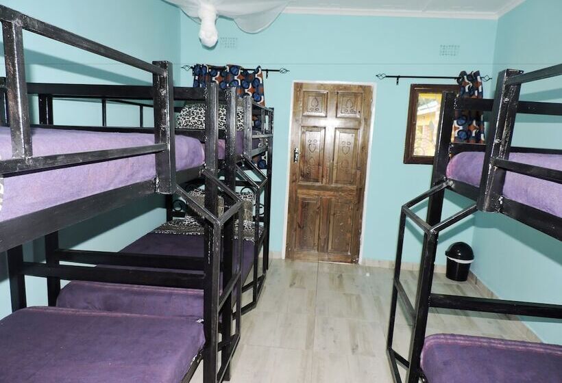Café Zambezi House Of Africa Hostel