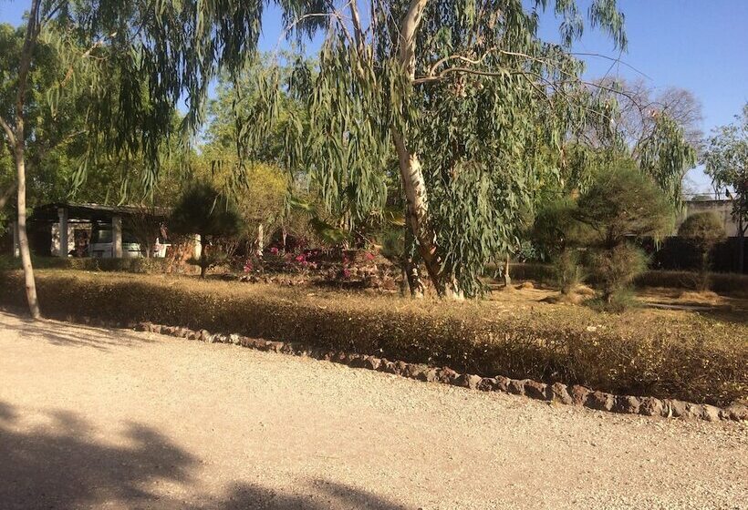 هتل Africa Strike Lodge