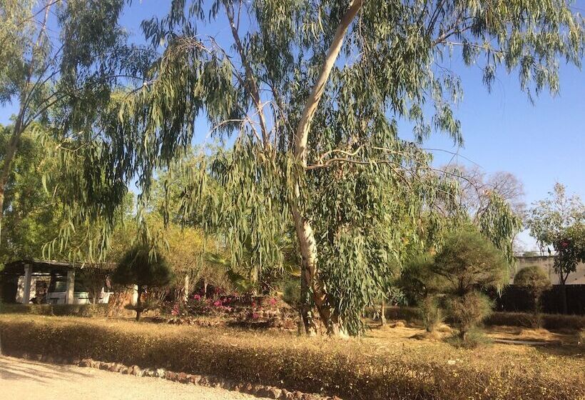 هتل Africa Strike Lodge