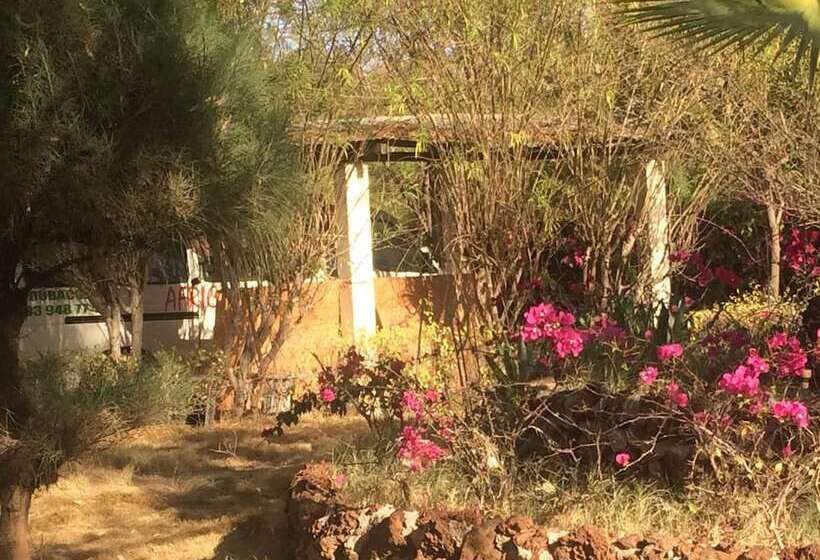 هتل Africa Strike Lodge