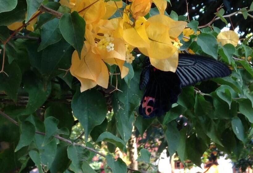 בית מלון כפרי Areeya Resort