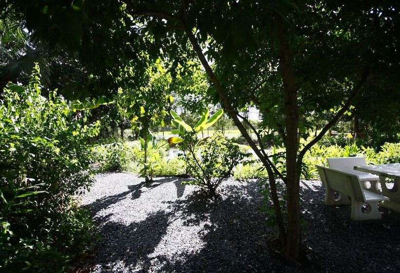 בית מלון כפרי Areeya Resort