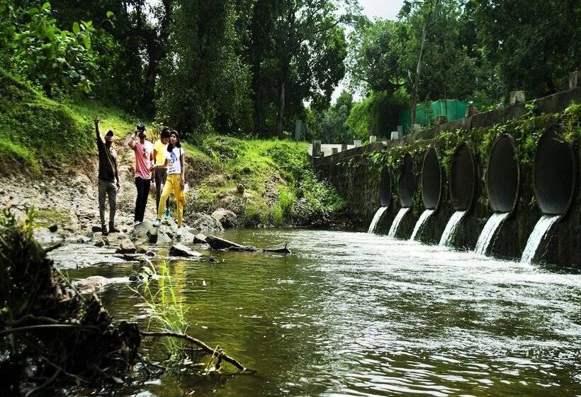 Olive Resort & Villas