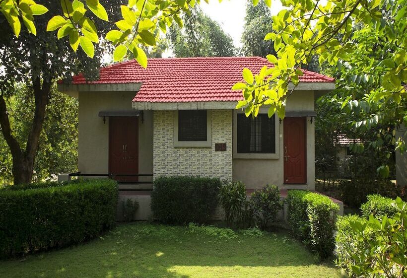 Olive Resort & Villas