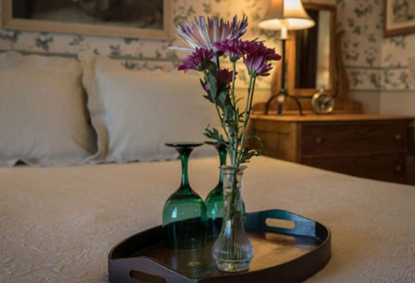 住宿加早餐  Mcconnell Inn