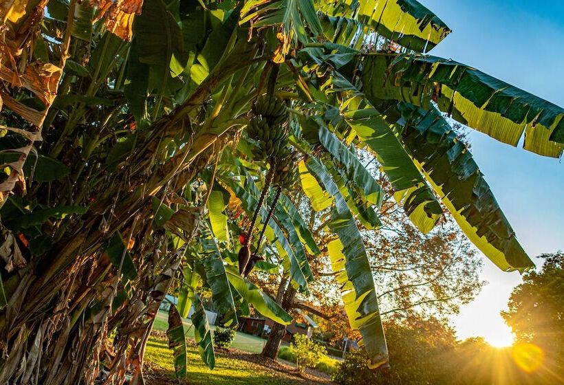 Birds N Bloom Cottages