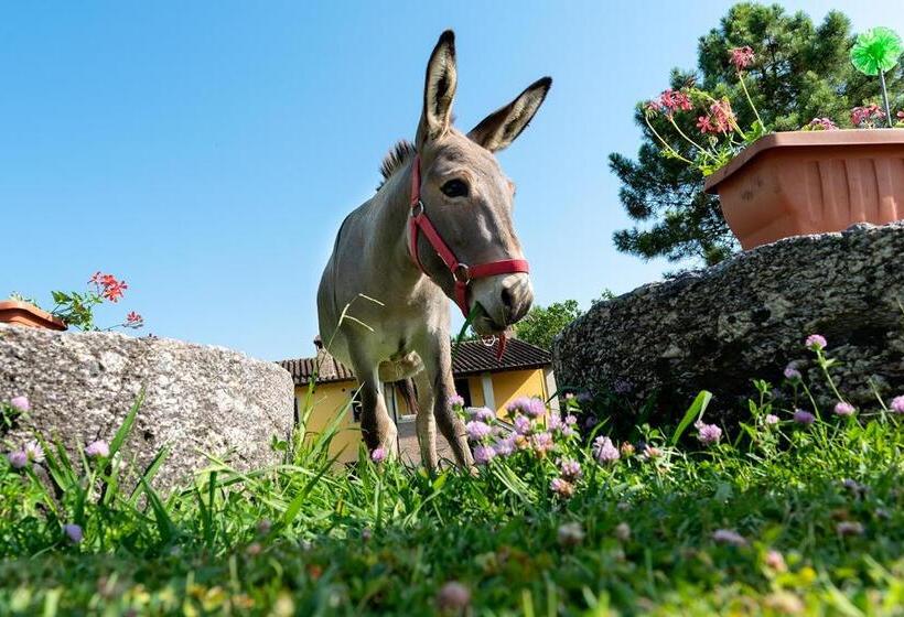 בית מלון כפרי Antiqua Vallis