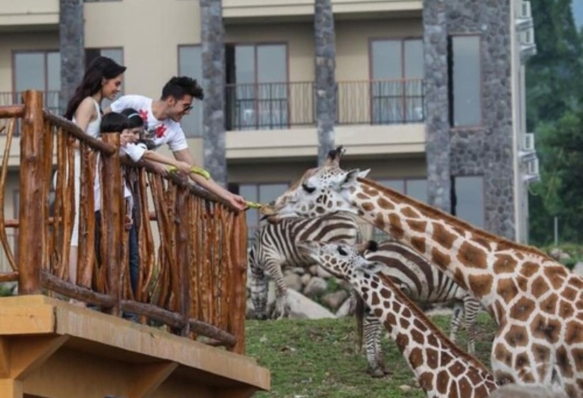 Hotel Baobab Safari Resort