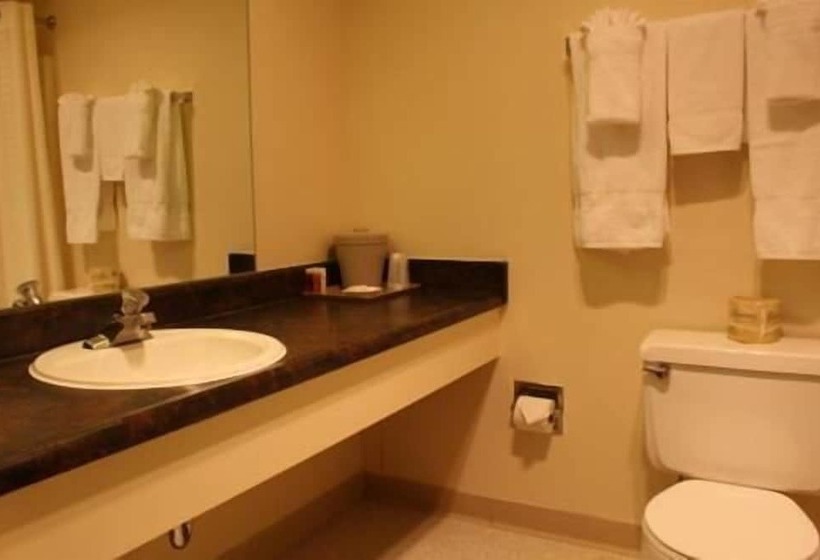 בית מלון כפרי Glacier