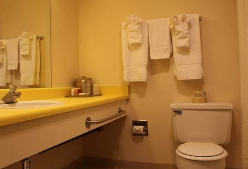 בית מלון כפרי Glacier