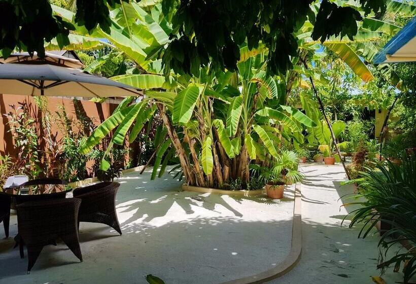 هتل Island Vista Inn