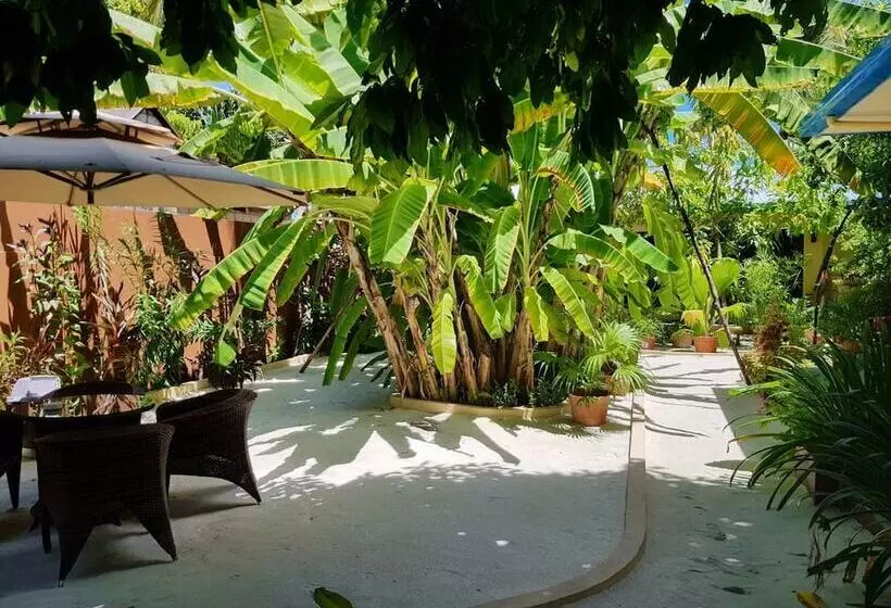 هتل Island Vista Inn