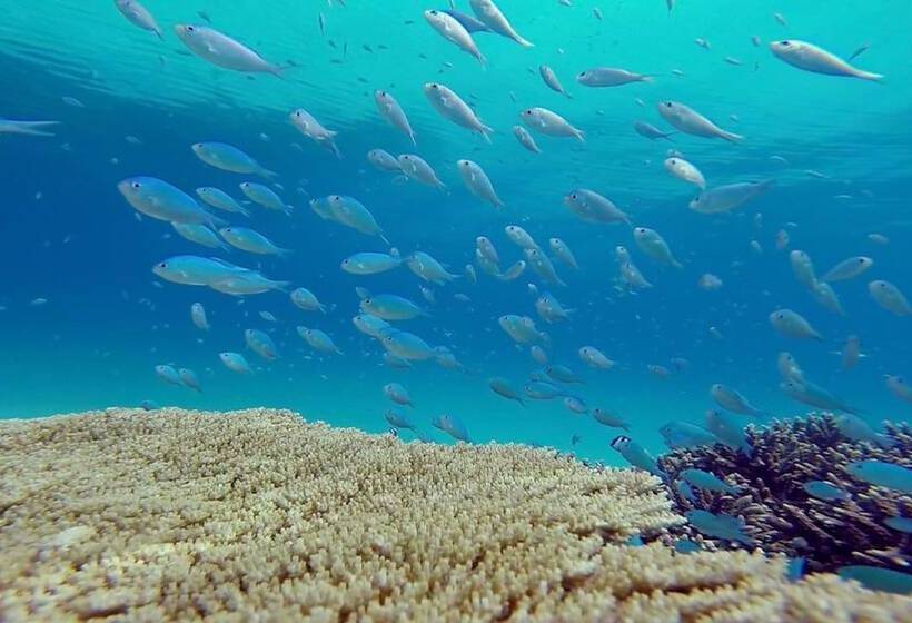 هتل Island Vista Inn