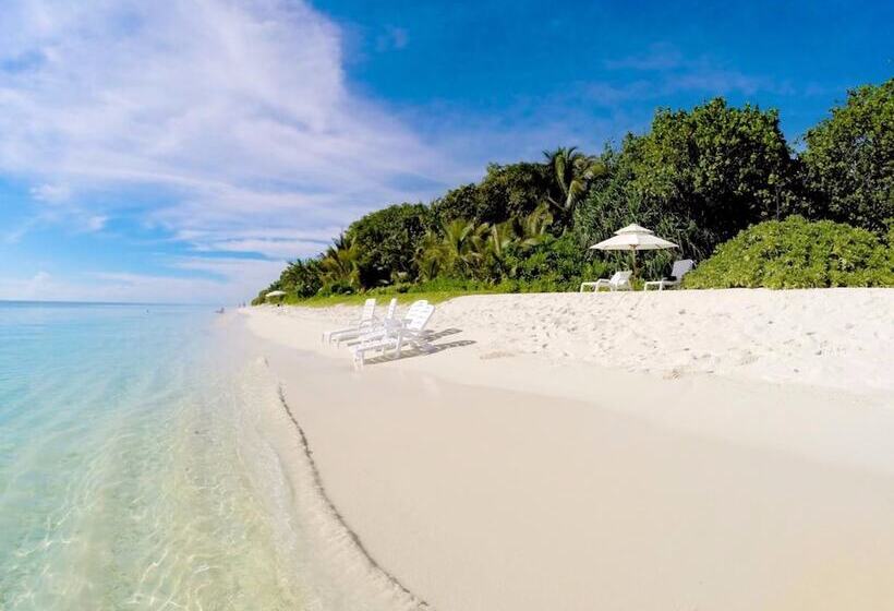 هتل Island Vista Inn