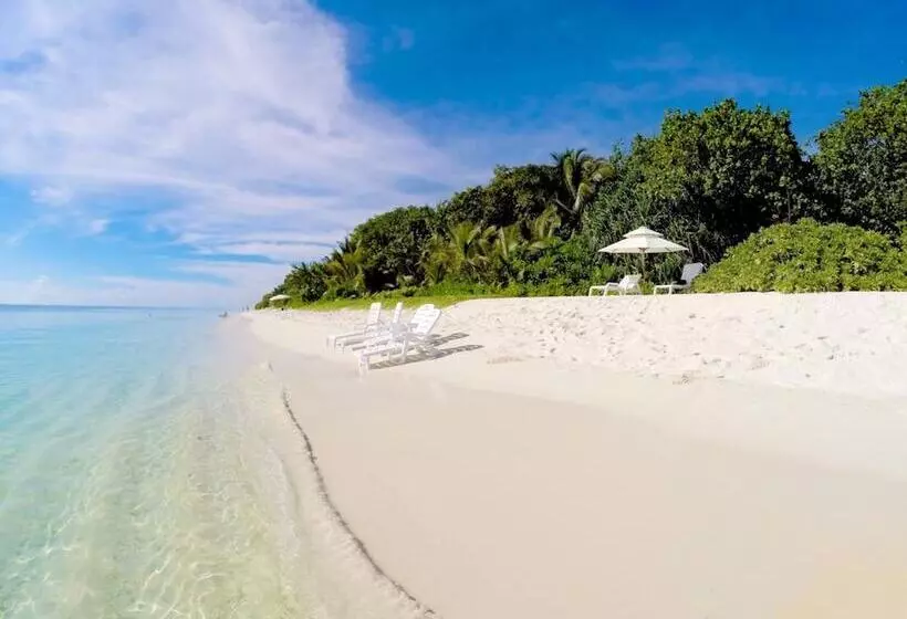 هتل Island Vista Inn
