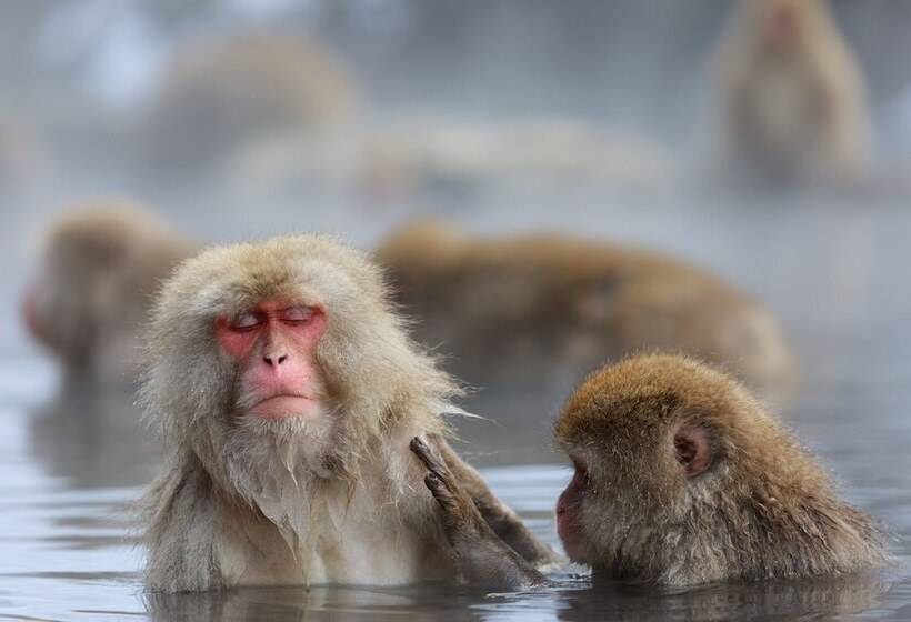 فندق Japan Shiga