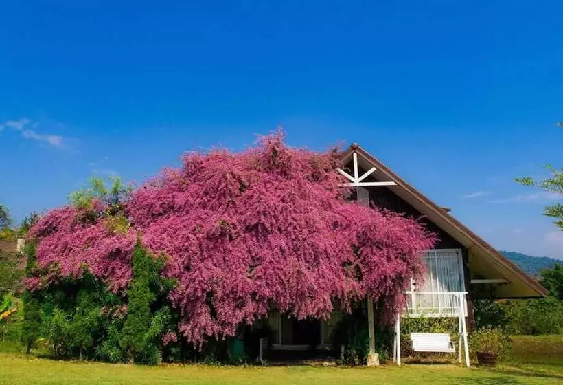 هتل Kiangmok Chalet