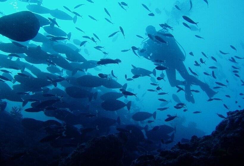 هتل Lagoon View Maldives