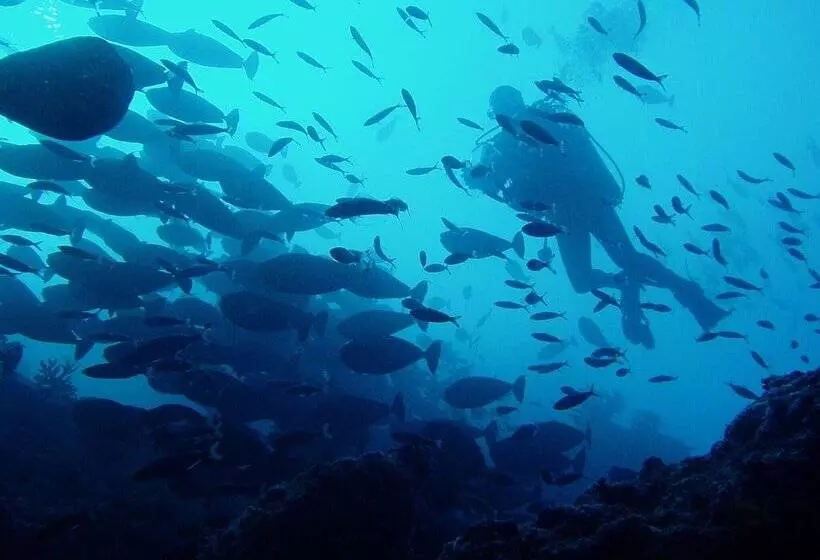 هتل Lagoon View Maldives