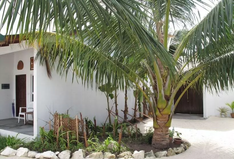 هتل Lagoon View Maldives