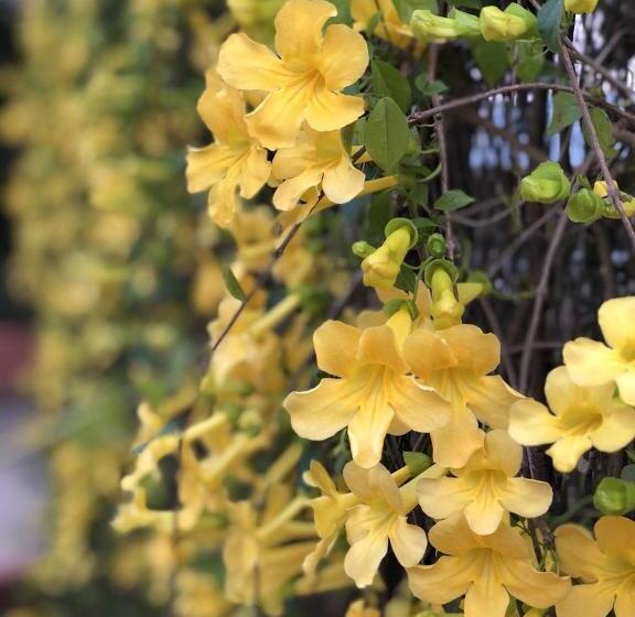 Отель Pan Kled Villa Eco Hill Resort Sha Extra Plus