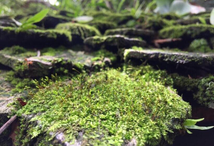 Отель Pan Kled Villa Eco Hill Resort Sha Extra Plus