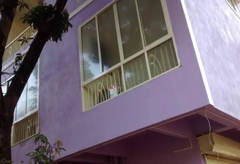 膳宿费 Daffodils Guest House