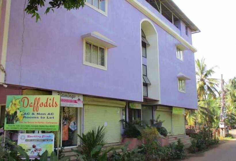 膳宿费 Daffodils Guest House