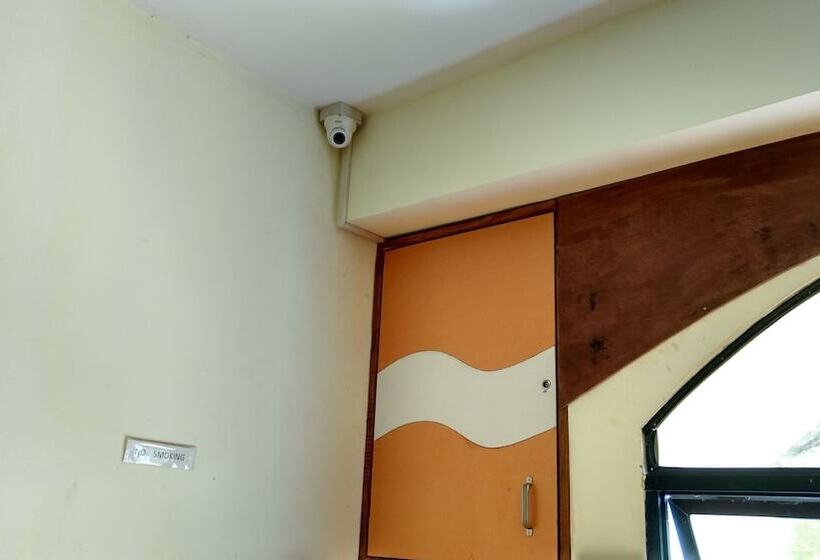 膳宿费 Daffodils Guest House