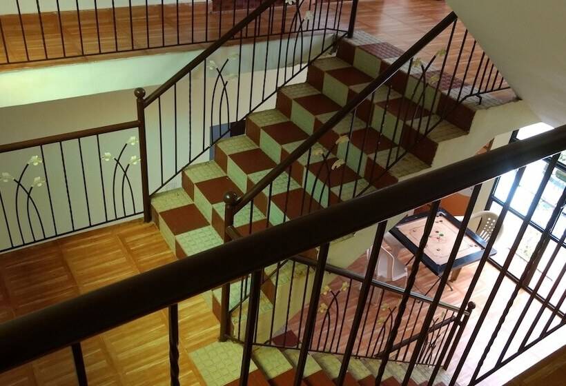 膳宿费 Daffodils Guest House