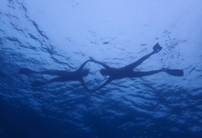 پانسیون Sealavie Inn