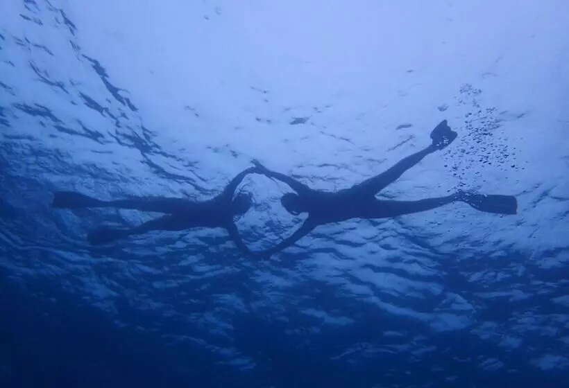 پانسیون Sealavie Inn