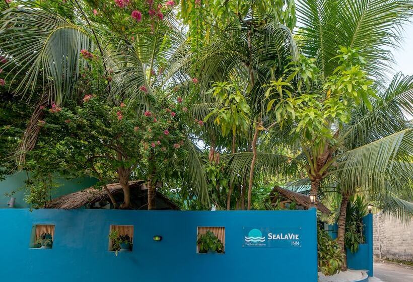 پانسیون Sealavie Inn