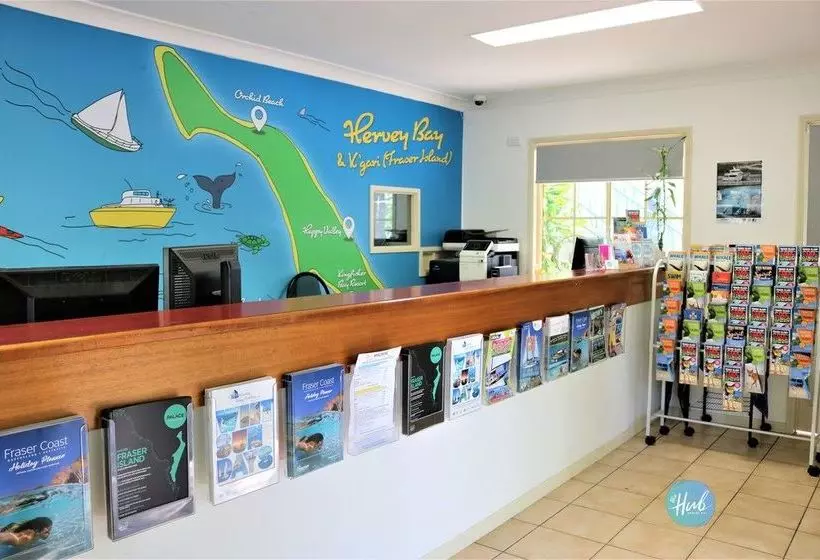 ユースホステル The Hub Hervey Bay