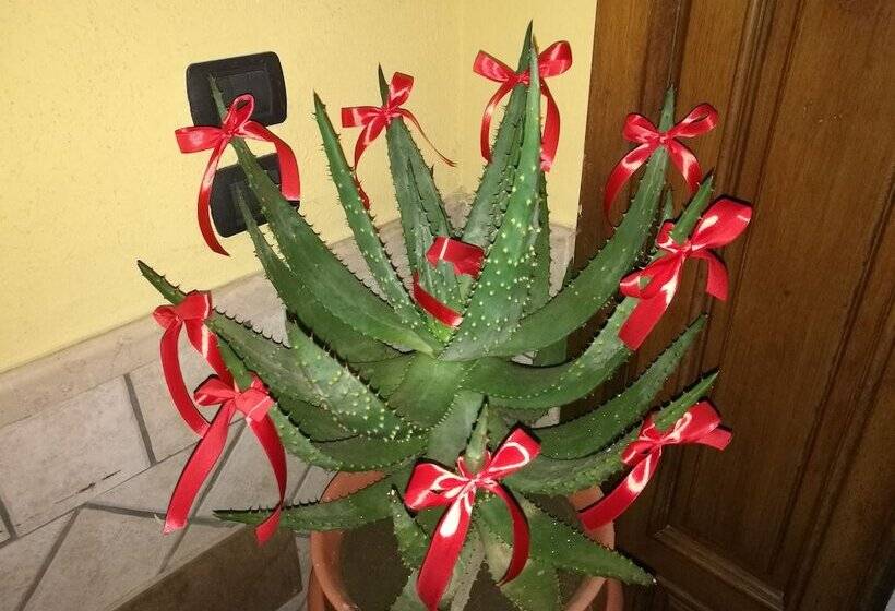 住宿加早餐  Garden Inn