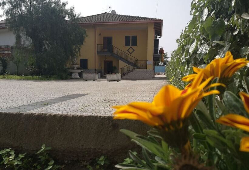 住宿加早餐  Garden Inn