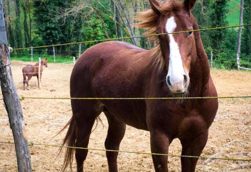 ホテル Borgo Villa Certano   Case Vacanza In Toscana