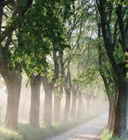 ホテル Borgo Villa Certano   Case Vacanza In Toscana