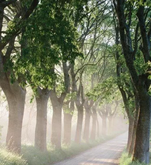 ホテル Borgo Villa Certano   Case Vacanza In Toscana