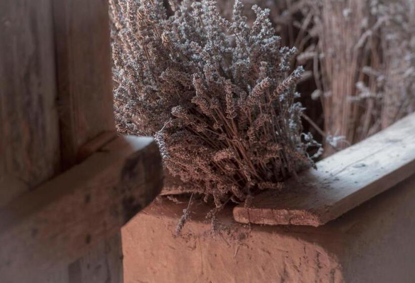 ホテル Borgo Villa Certano   Case Vacanza In Toscana